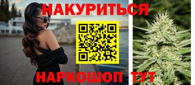 гашик Новозыбков