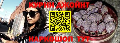 гашик Новозыбков