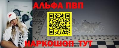 гашик Новозыбков