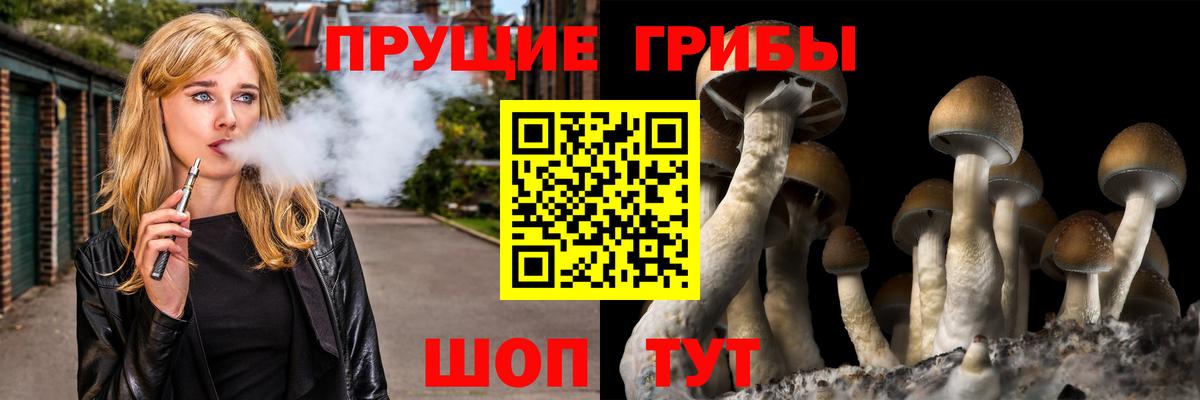 Галлюциногенные грибы мухоморы Горячий Ключ